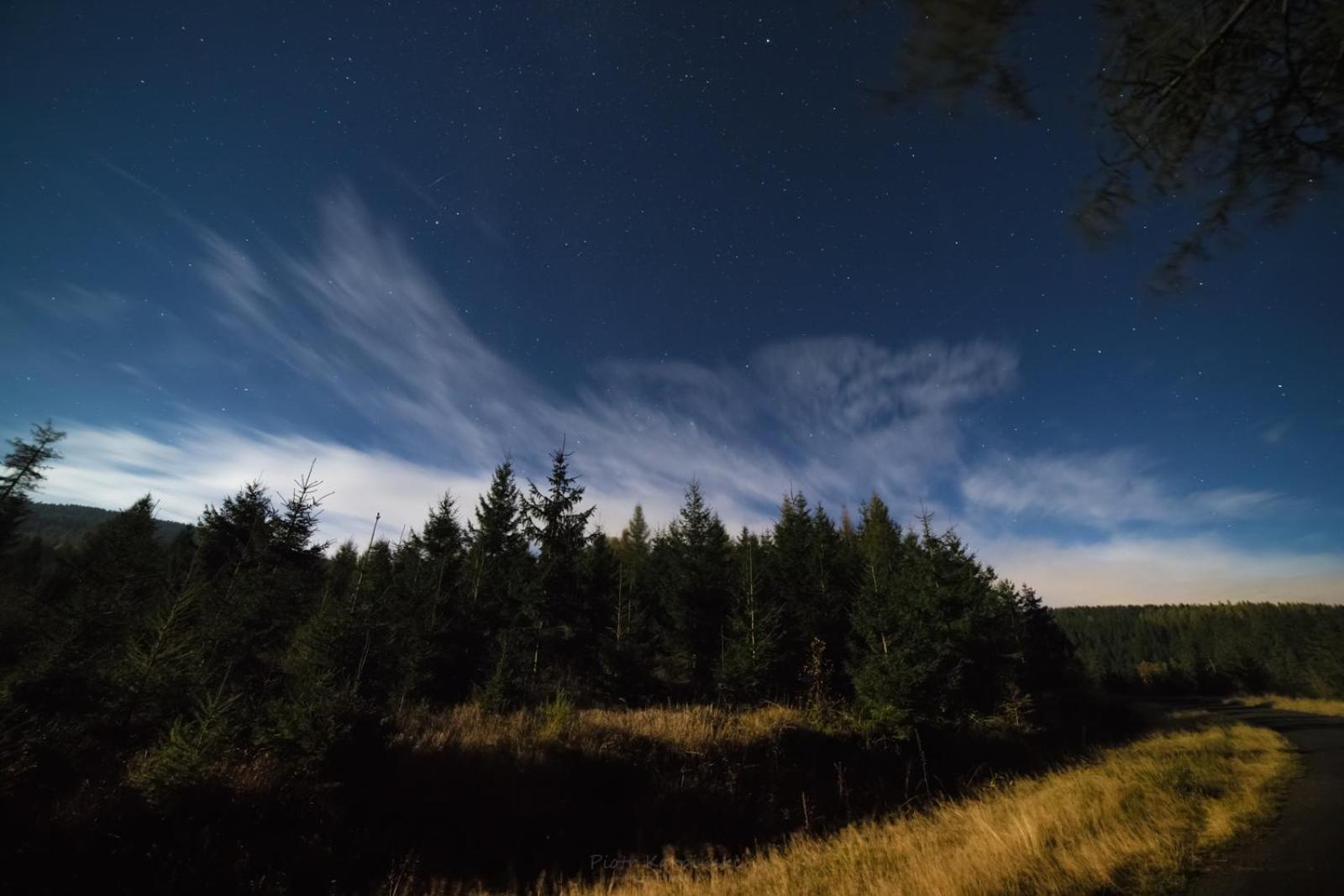 Willa Z Gwarantowanym Widokiem Na Gory Aleksander Panorama ชเวียราโดว์-สโดรยจ์ ภายนอก รูปภาพ